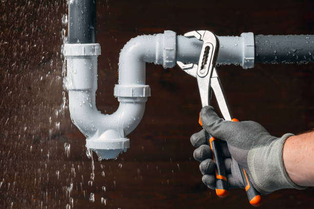 Professional Plumbing technician working in Saint David, IL
